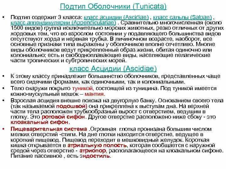 Сообщение о личиночно хордовых