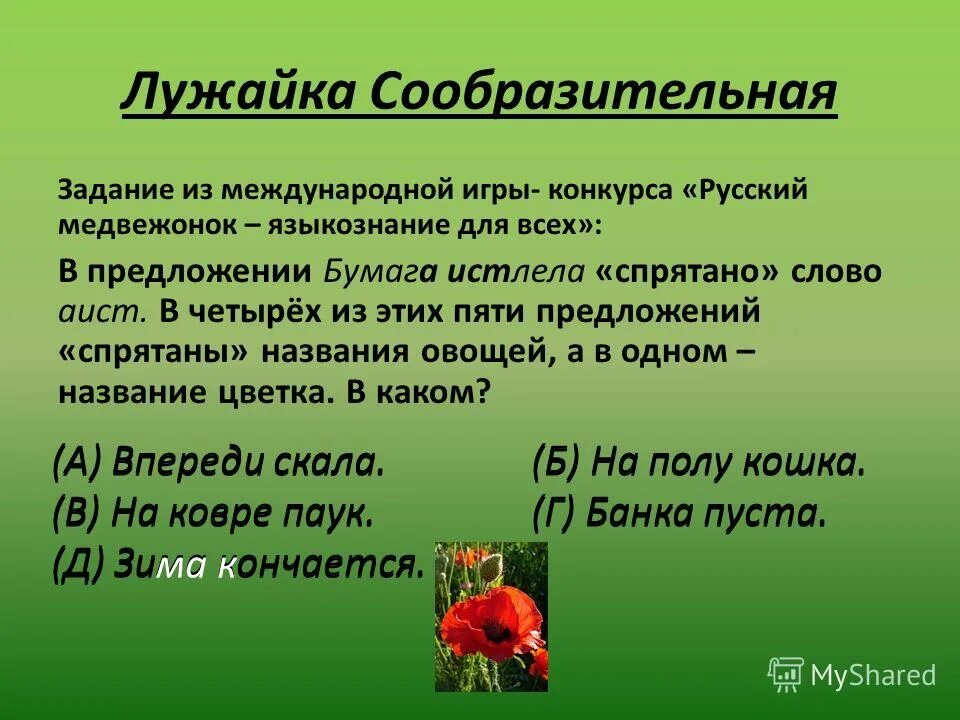 Спрятанное предложение. В предложении бумага истлела спрятано. Спрятанные слова в предложении. Завуалированные слова в предложении. Предложение со словом лужайка.