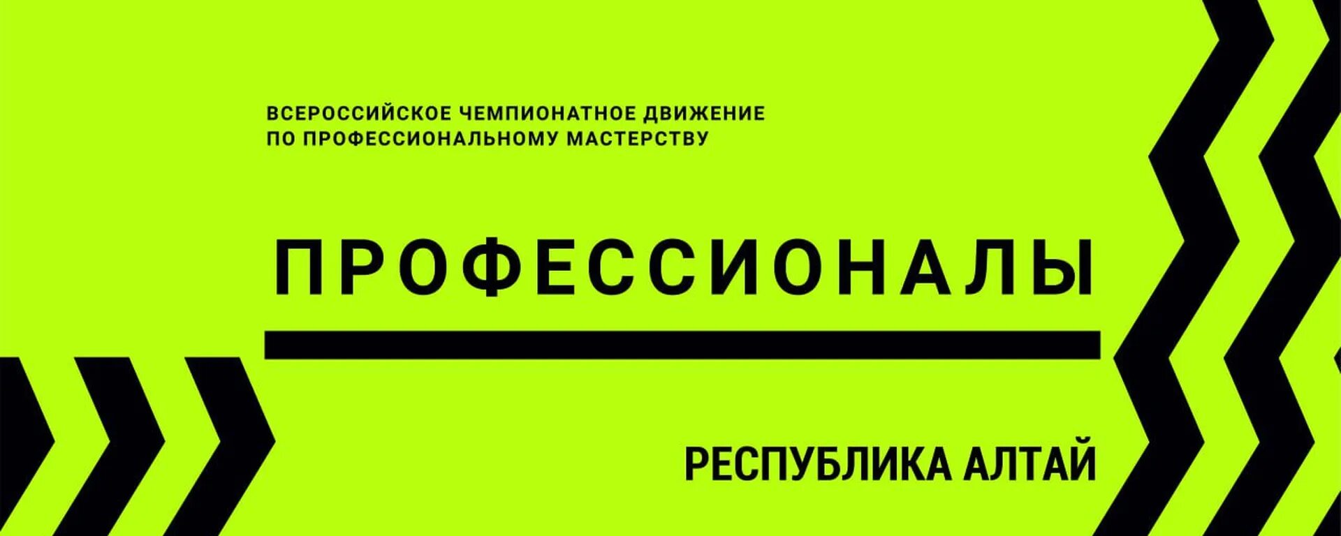 Чемпионат профессионалы брендбук. Чемпионат профессионалы 2023. Региональный чемпионат профессионалы. Чемпионат по профессиональному мастерству. Баннеры чемпионат профессионалы.