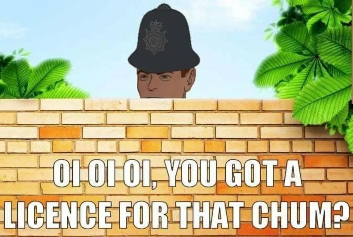 Because you have a little. Oi Mate you got a licence. Got you. Oi! You got a License. Loicense.