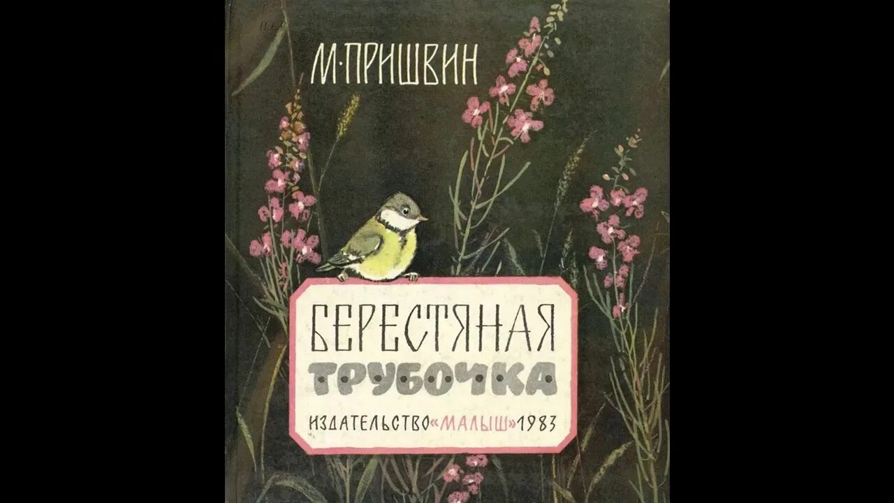 Текст берестяная трубочка. Пришвин берестяная трубочка. Иллюстрации к рассказу Пришвина берестяная трубочка. М М пришвин берестяная трубочка.