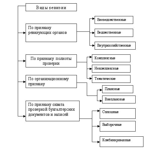 Ревизия схема. Схема проведения ревизии. Виды ревизии схема. Классификация ревизий. Схема ревизии в магазине.