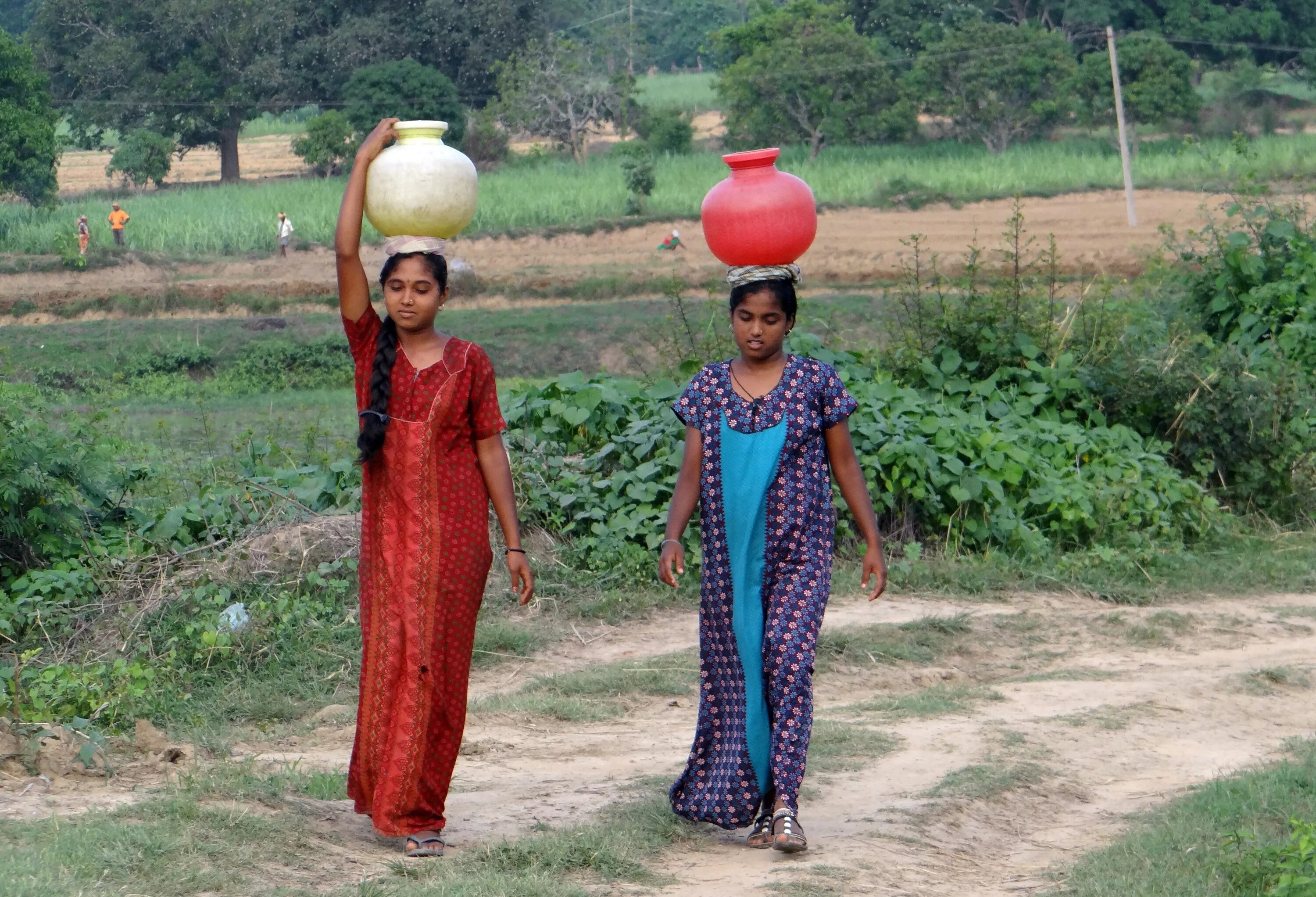 Village woman. Харьяна Индия. Индийская деревня. Индийские сельские женщины. Индийская деревенская женщина.