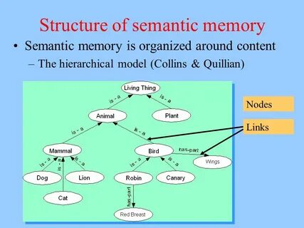 Total memory