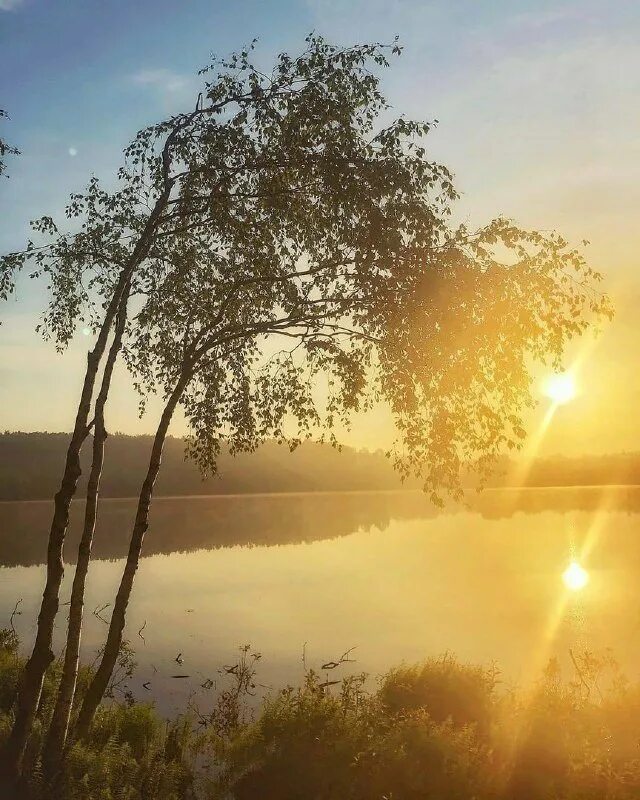 Это было красивое утро. Утренняя Заря. Красивое утро. Прекрасного утра. Очень красивое утро.