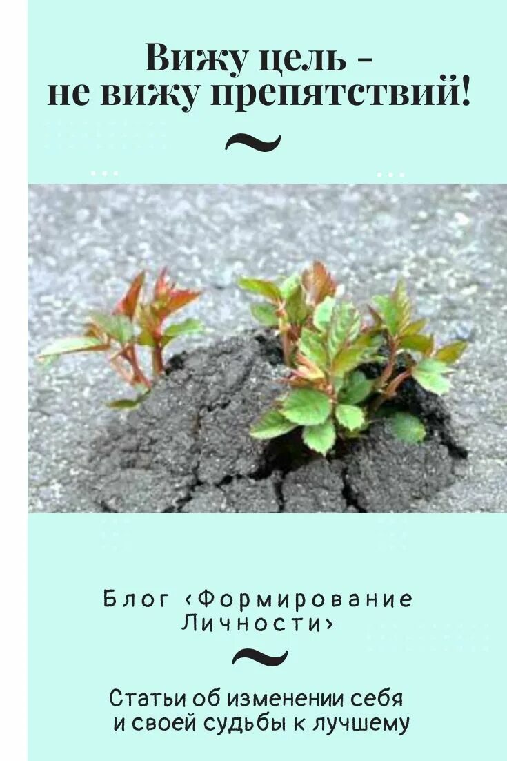 Вижу цель не вижу. Есть цель не вижу препятствий. Вижу цель вижу препятствий. Вижу цель не вижу препятствий рисунок. Вижу цель песня