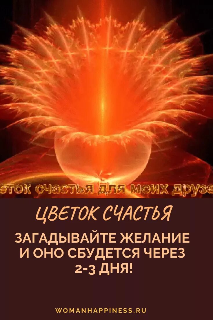 Цветок исполнения желаний. Цветок счастья и желания. психология счастья. счастья и исполнения желаний.