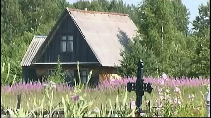 Камеры старица. Камеры старица партнер. веб камеры старицы компания партнер. старица камеры партнер онлайн смотреть бесплатно без регистрации.