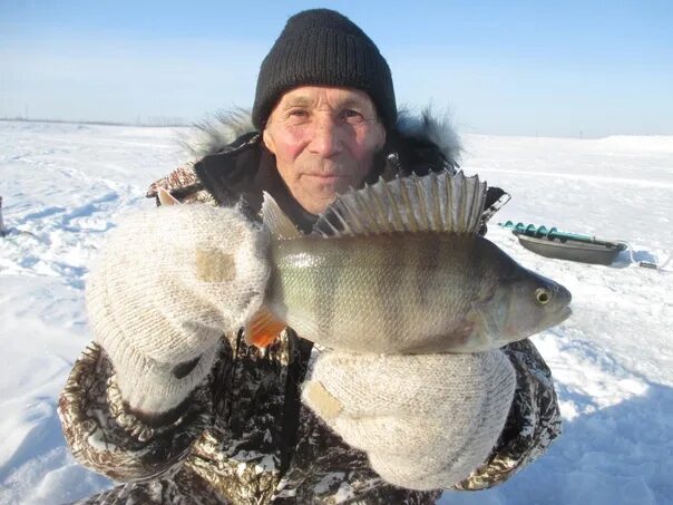 Отчёт о рыбалке в Ленинградской области. Отчёты о рыбалке на е1. Отчёты о рыбалке Тверь ВК. Отчёты о рыбалке на е1 Екатеринбург.