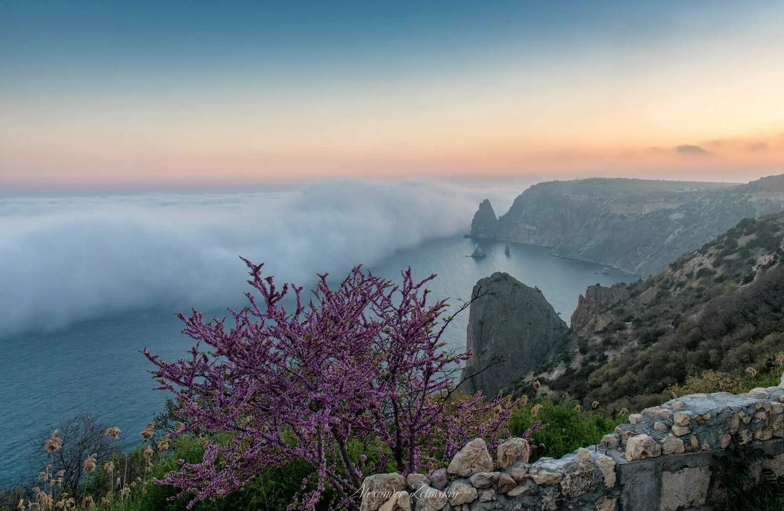 Природная красота крыма. Ялта мыс Фиолент. Гора Фиолент в Крыму. Крым мыс Фиолент цветы.