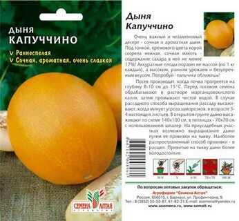 Тыква дыня семена