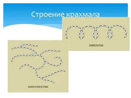 Структура молекулы крахмала