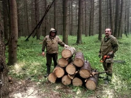 Новороссийское лесничество