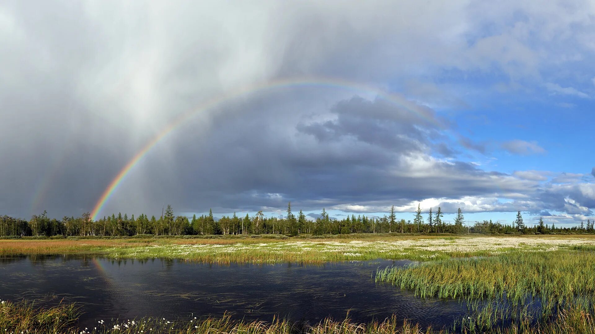 Схема образования антициклона. Озоновая дыра над антарктидой. Ямало-ненецкий автономный округ природа. Внутренние воды тундры в россии. Особенности природы арктики.