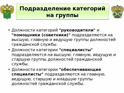Заместитель директора к какой категории относится