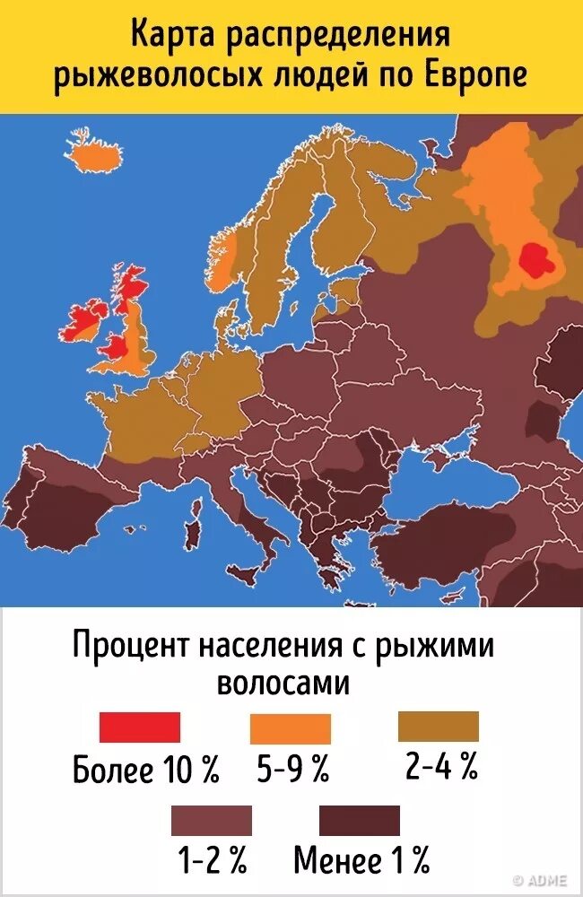 Карты рыжий. Карты рыжий