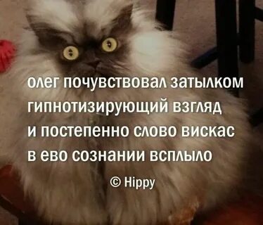 Постепенно слово