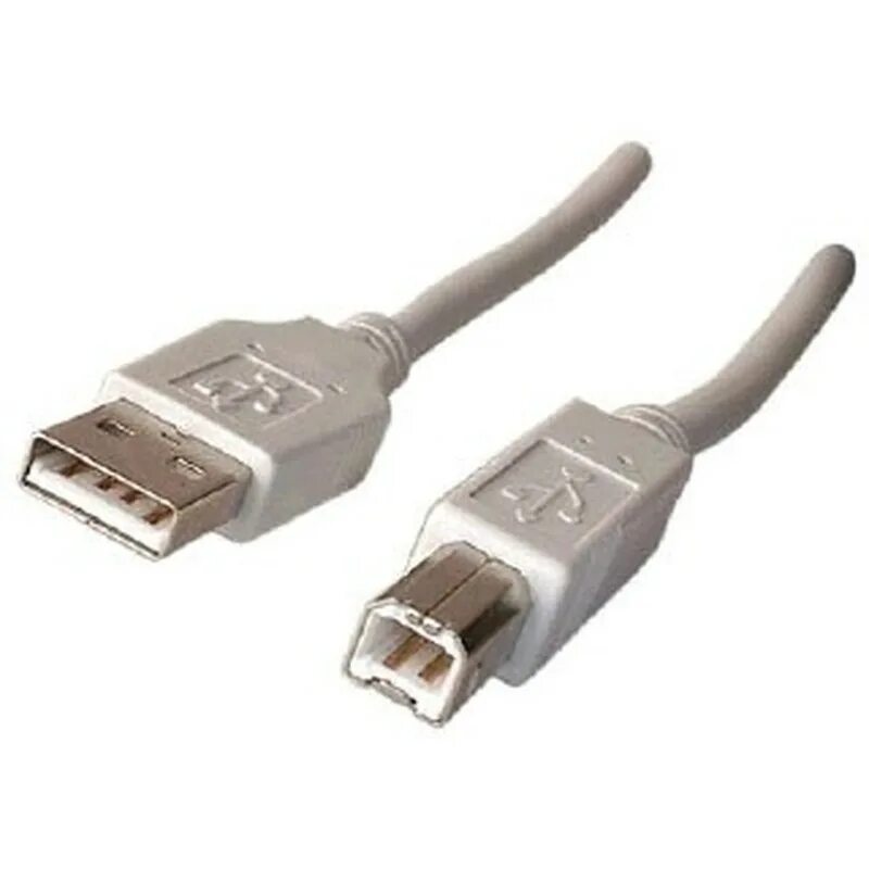 Usb b что это. Usb b что это