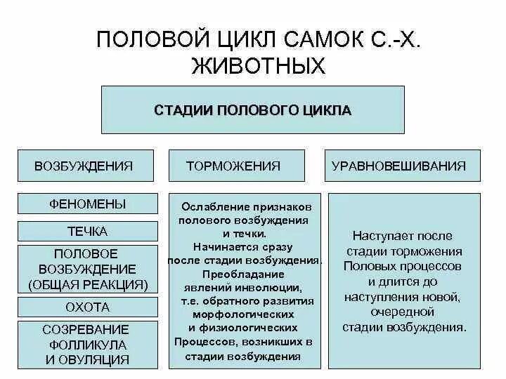 Половой цикл и его стадии у животных. Стадия возбуждения полового цикла у животных. Фазы полового цикла самок. Стадии полового цикла Ветеринария. Установите последовательность этапов полового