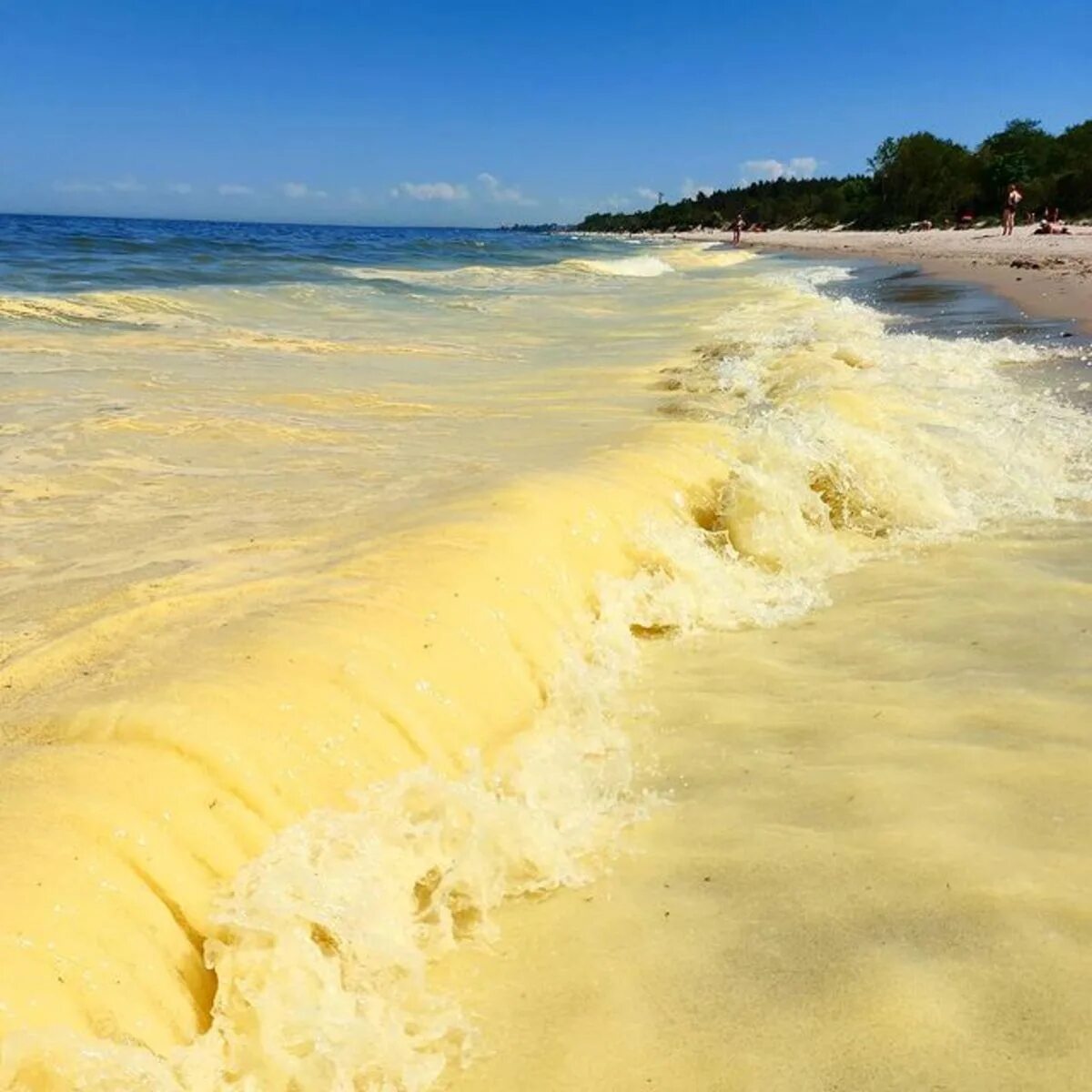 Цвет балтийского моря. Цвет балтийского моря. Морской прибой балтика. Цвет балтийского моря. Хельком балтийское море.