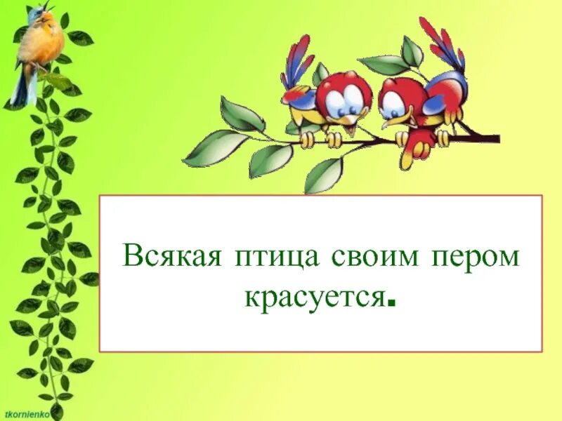 Всякая птица своим пером красуется. Всякая птица своим пером красуется пословица. Всякая птица своим пером красуется смысл пословицы. Всякая птица своим пером.