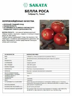 Томат росе описание