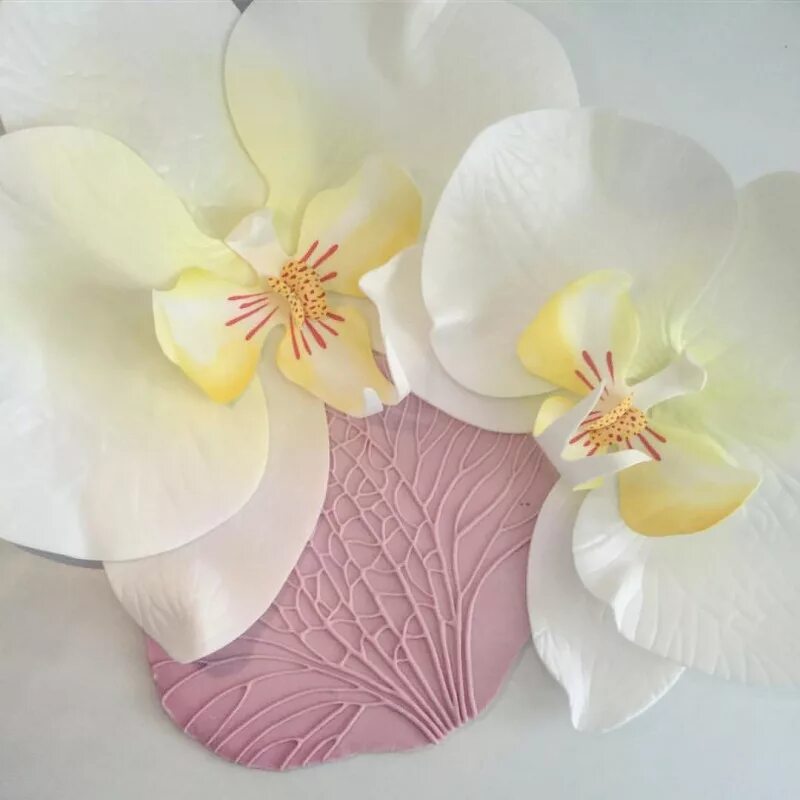 Орхидеи с изолона. Ростовые орхидеи из изолона. Орхидеи с изолона. Орхидея фаленопсис мастер класс. Ростовая орхидея из изолона.