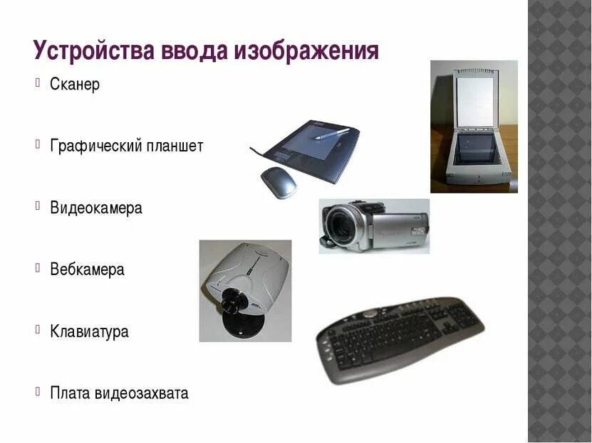 Устройство ввода графических изображений в компьютер это. Устройства ввода. устройства ввода графических изображений. устройство ввода устройства. устройства вывода изображения.