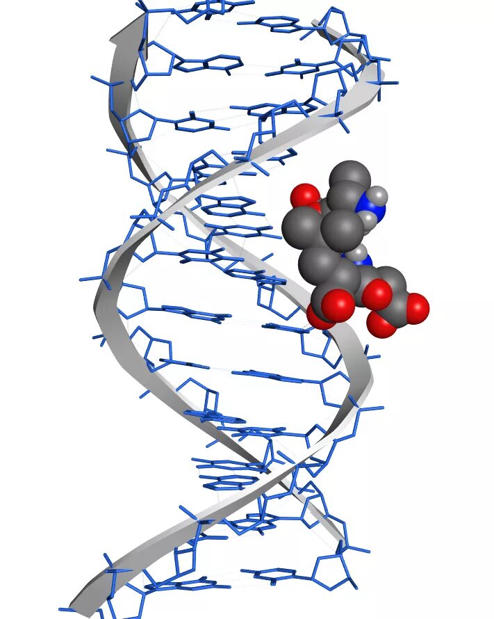 Молодость кожи. Пептиды для чего нужны. Пептиды старение. Нанотехнологии в косметологии. Преждевременное старение кожи.