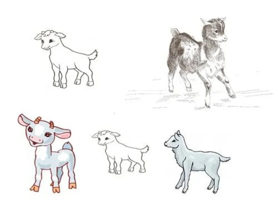 «Козлятки выбежали погулять на зеленый лужок» (Комарова т. с. Рисование козленок. Пошаговое рисование козленка для детей. Рисование козленка в средней группе.