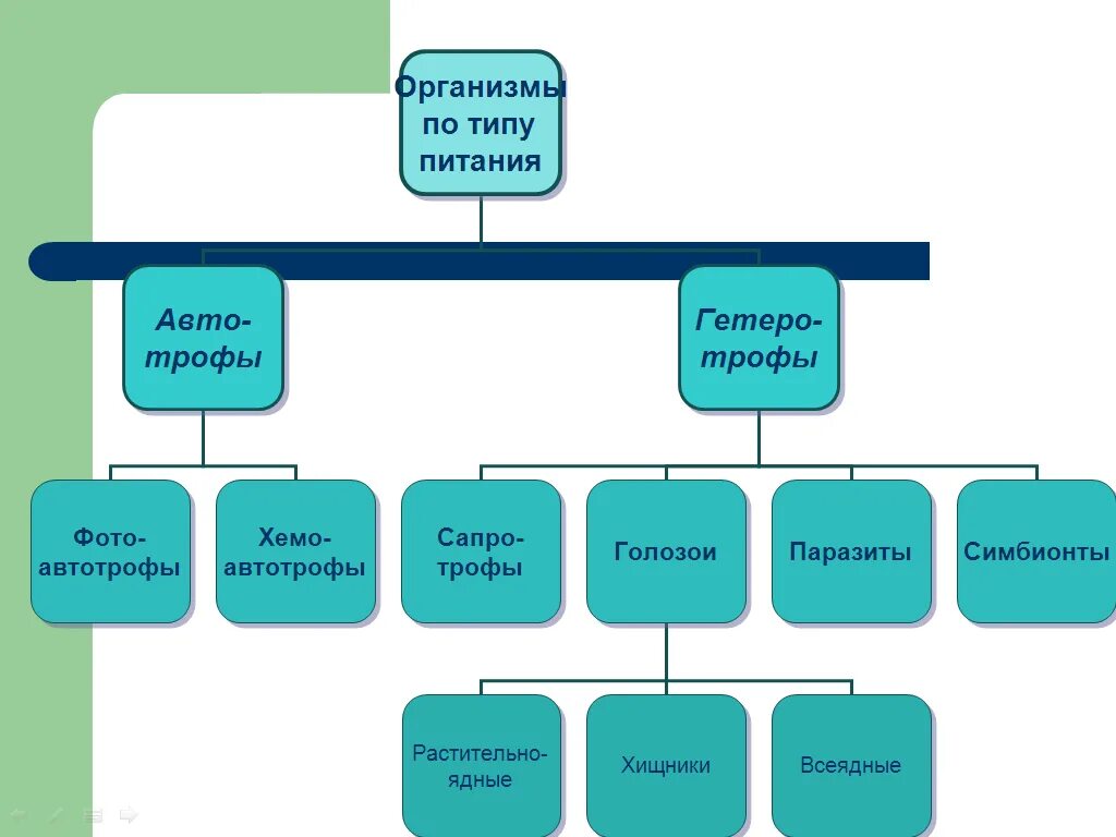 Типы питания живых организмов схема. Классификация организмов по типу питания 9 класс. Схема типы питания биология. Организмы по способу питания схема.