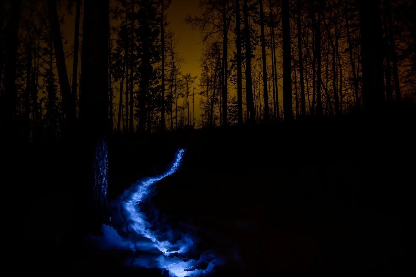 болото фэнтези мистические. «ночь в лесу». человек в лесу. таежная глухомань черняевский лес. фотосессия в лесу.