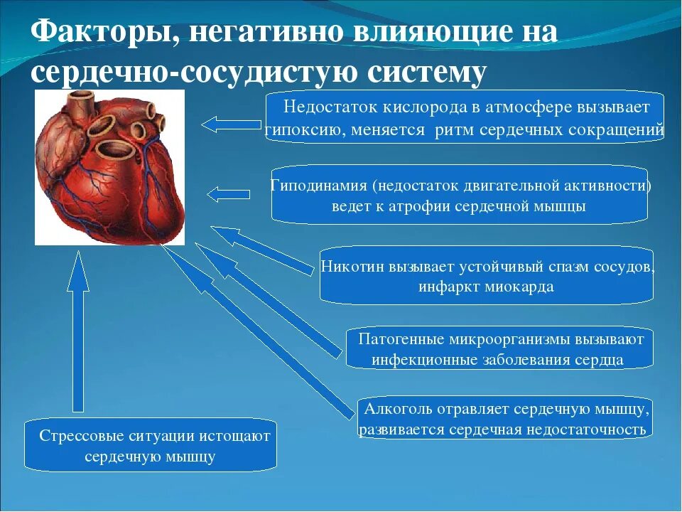 Сердечные заболевания у взрослых