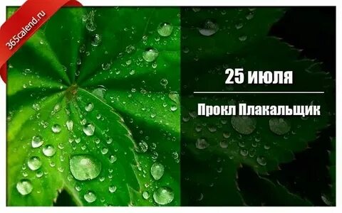 Прокл плакальщик