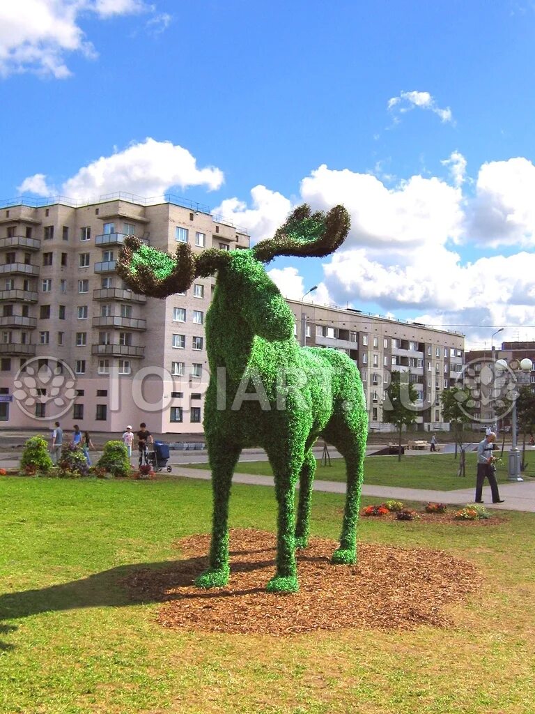 Топиарная скульптура Лось. Тихвин Лось в городе. Лось петербург