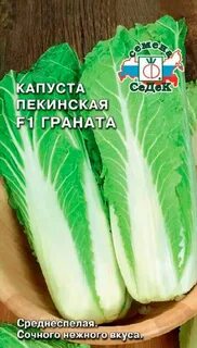 Капуста граната
