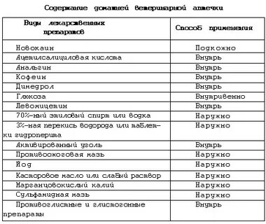 Меню котятам 2 месяца