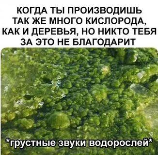 Большое количество кислорода