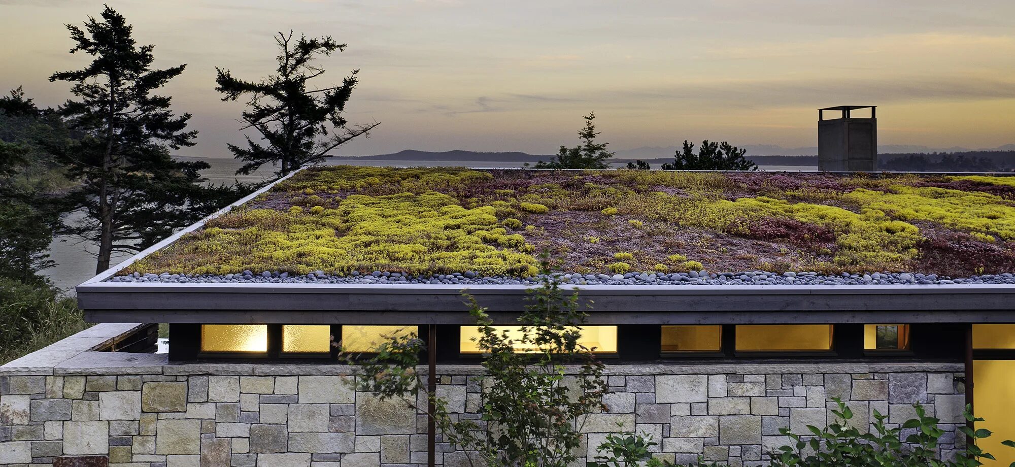 Natural modern. Эксплуатируемая плоская кровля Green Roof. Экстенсивная зеленая кровля. Зеленая кровля экстенсивная зеленая кровля. Кандинский зеленая кровля.