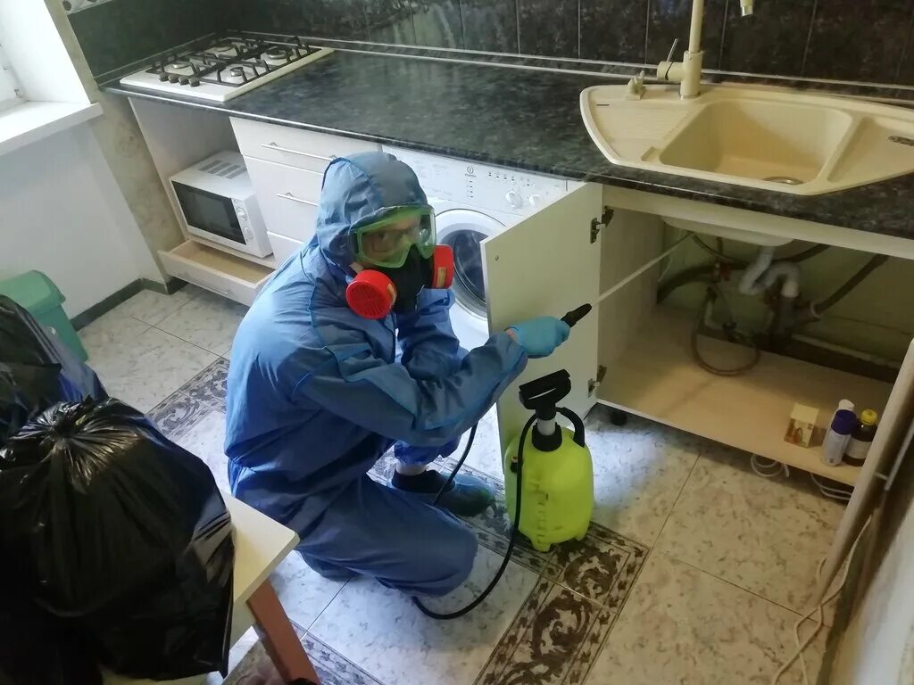 дератизация в квартире. пройти дезинфекцию. дезинфекция помещений. дезинфекция помещений covid. отходы класса в дезинфекция.