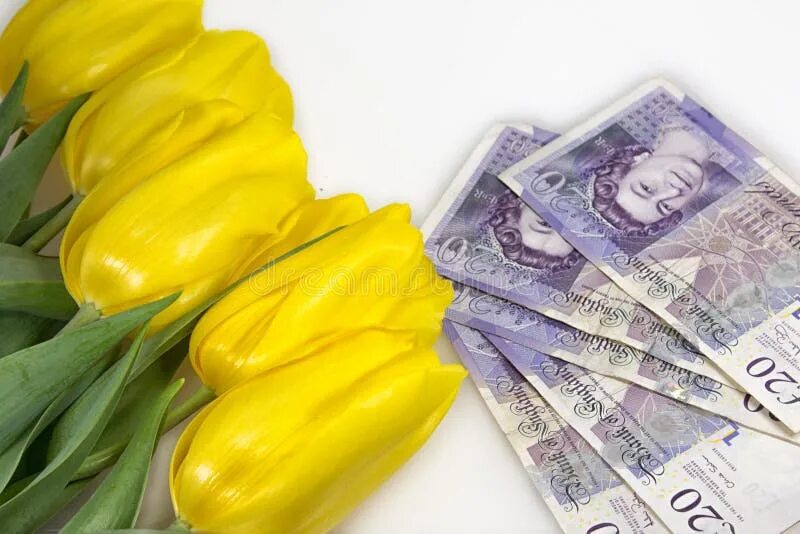 Желтая купюра. Тюльпаны и деньги. Фото тюльпаны и деньги. Цветы и деньги стоковое фото. Тюльпан из денег рубли.