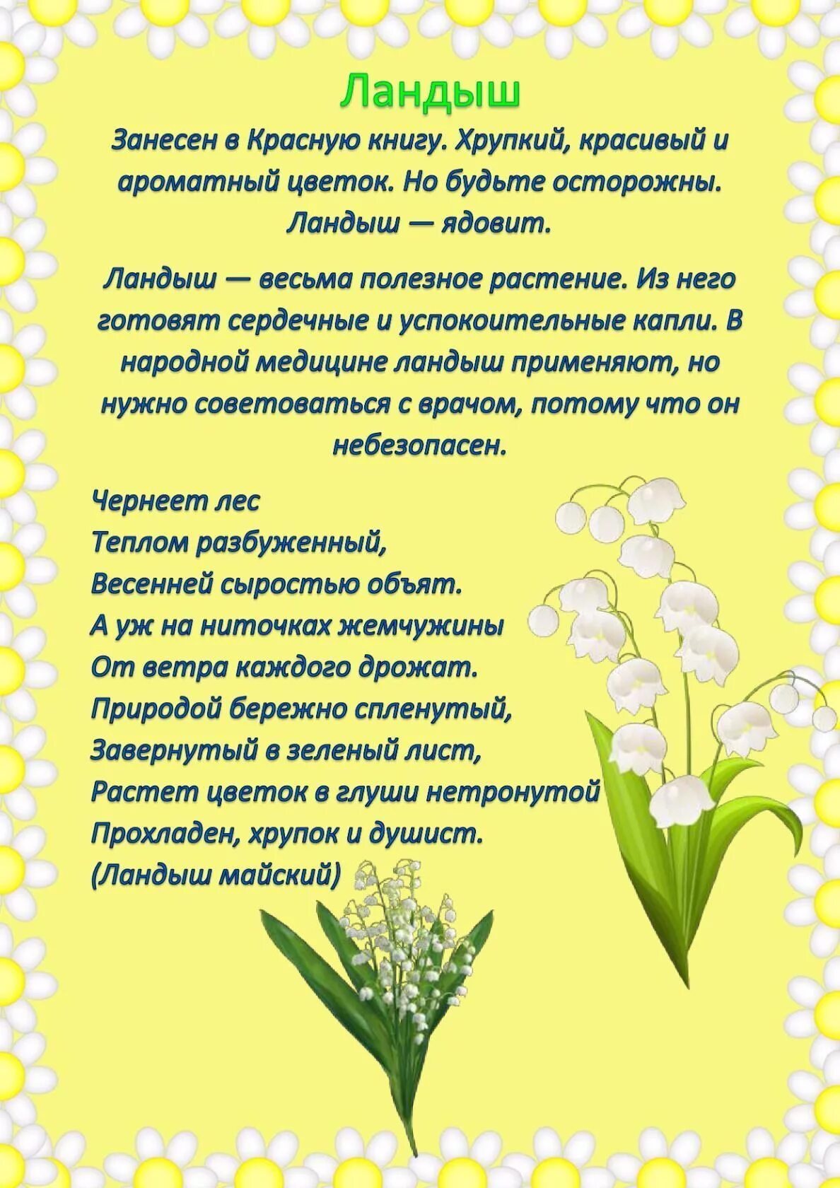 Папка передвижка осторожно ядовитые растения. Папка передвижка растения. Папка передвижка растения. Консультация лекарственные растения. Растения консультация для родителей.