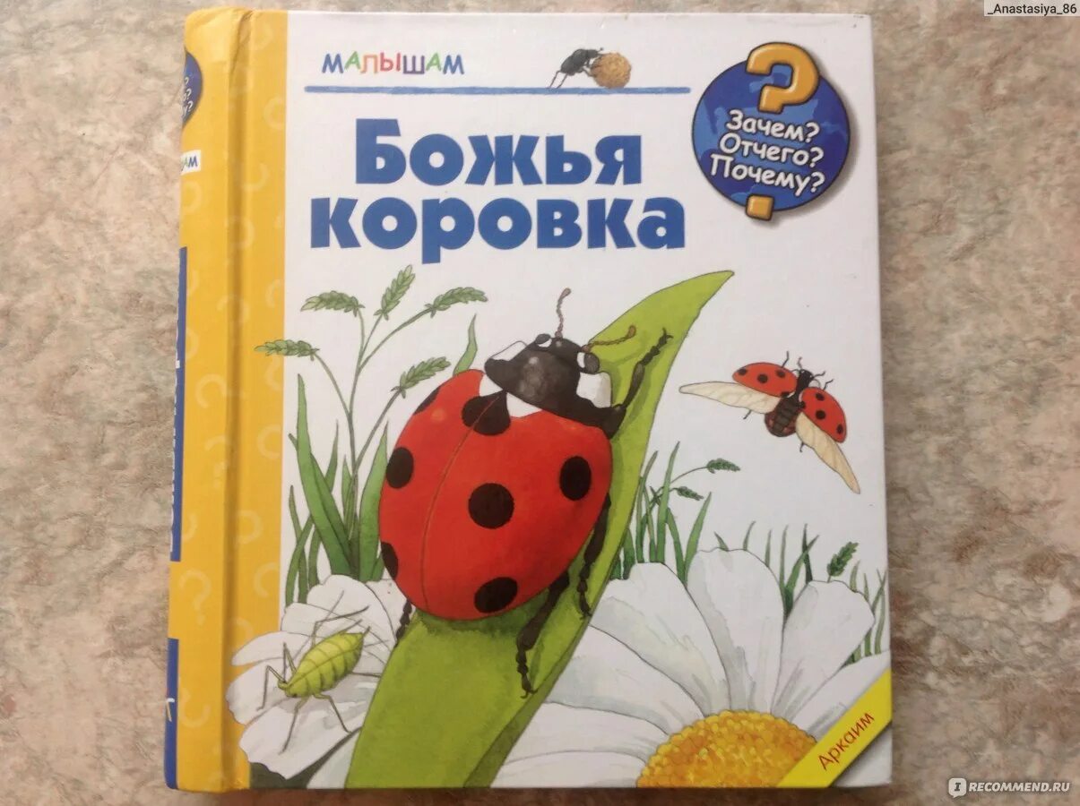 Дроздов коровка 2 читать. Божья коровка Андреа Эрне. Книги про Божьих коровок для детей. Книжка Божья коровка Божья коровка. Книга с Божьей коровкой на обложке.