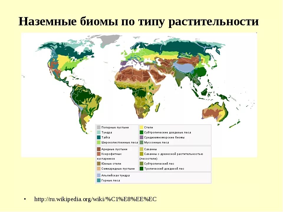 Биомы суши. Карту основные типы биомов суши. Карта распределения основных биомов суши.. Наземные биомы по типу растительности. Основные типы биомов суши.