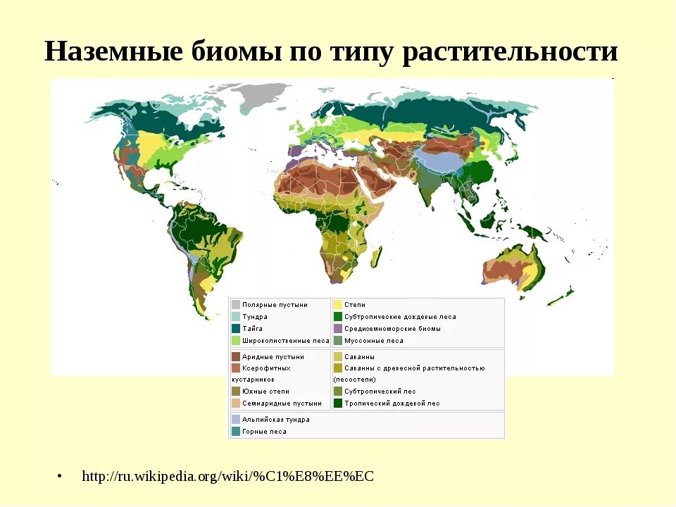 Тип природного биома