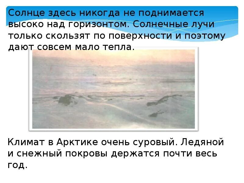 Солнце в Арктике не поднимается высоко над. Солнце в Арктике никогда не поднимается высоко над чем. Зона арктических пустынь 4 класс. Высоко над горизонтом.