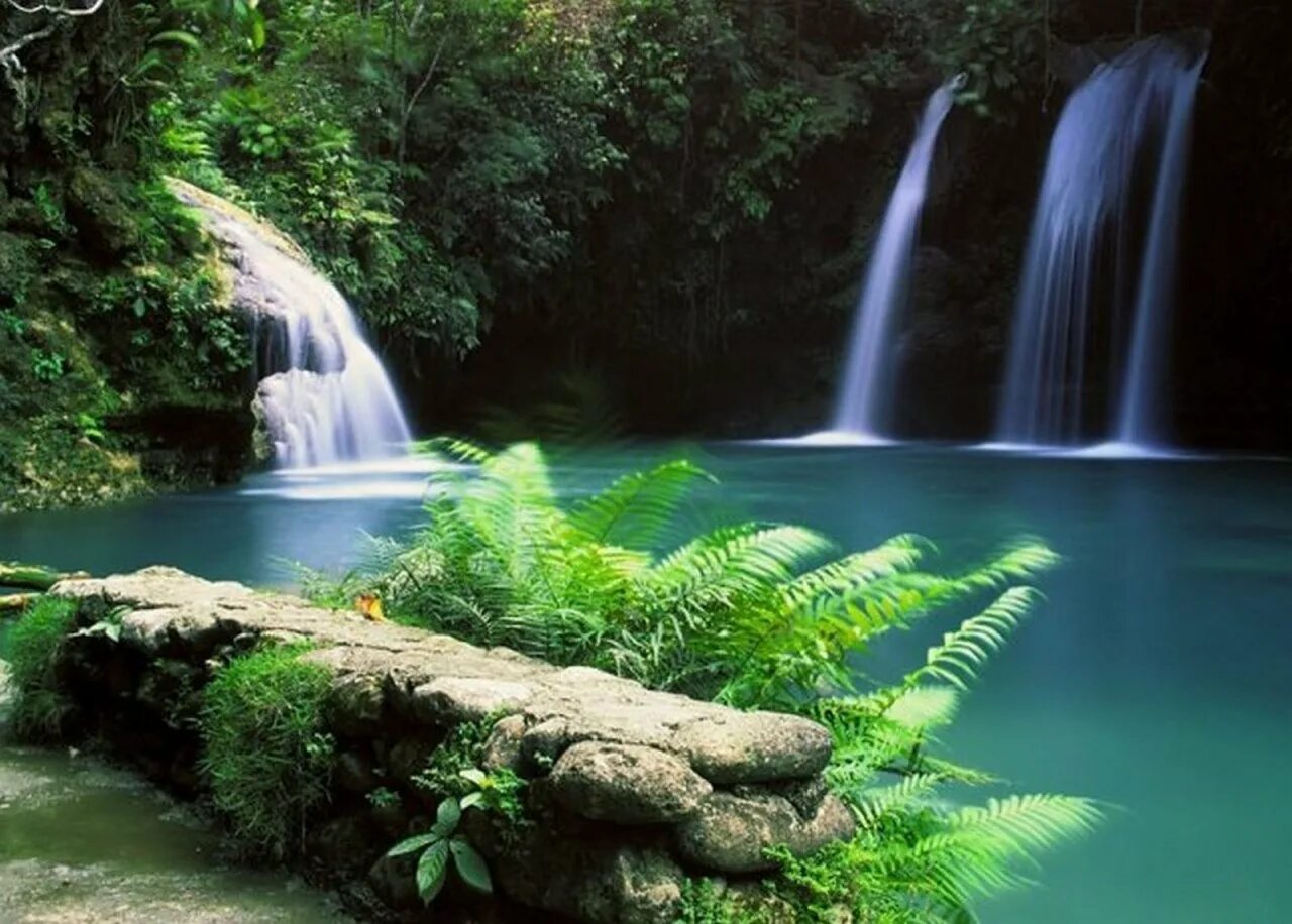 Живые водопады. Живая природа водопады. Анимация природа. Движущиеся водопады.