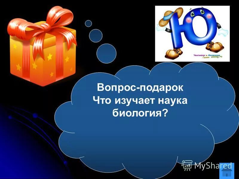 вопросы для конкурса на день рождения. фанты для веселой компании взрослых за столом на новый год. новогодняя шуточная лотерея. выбери подарок. конкурсы на день рождения.
