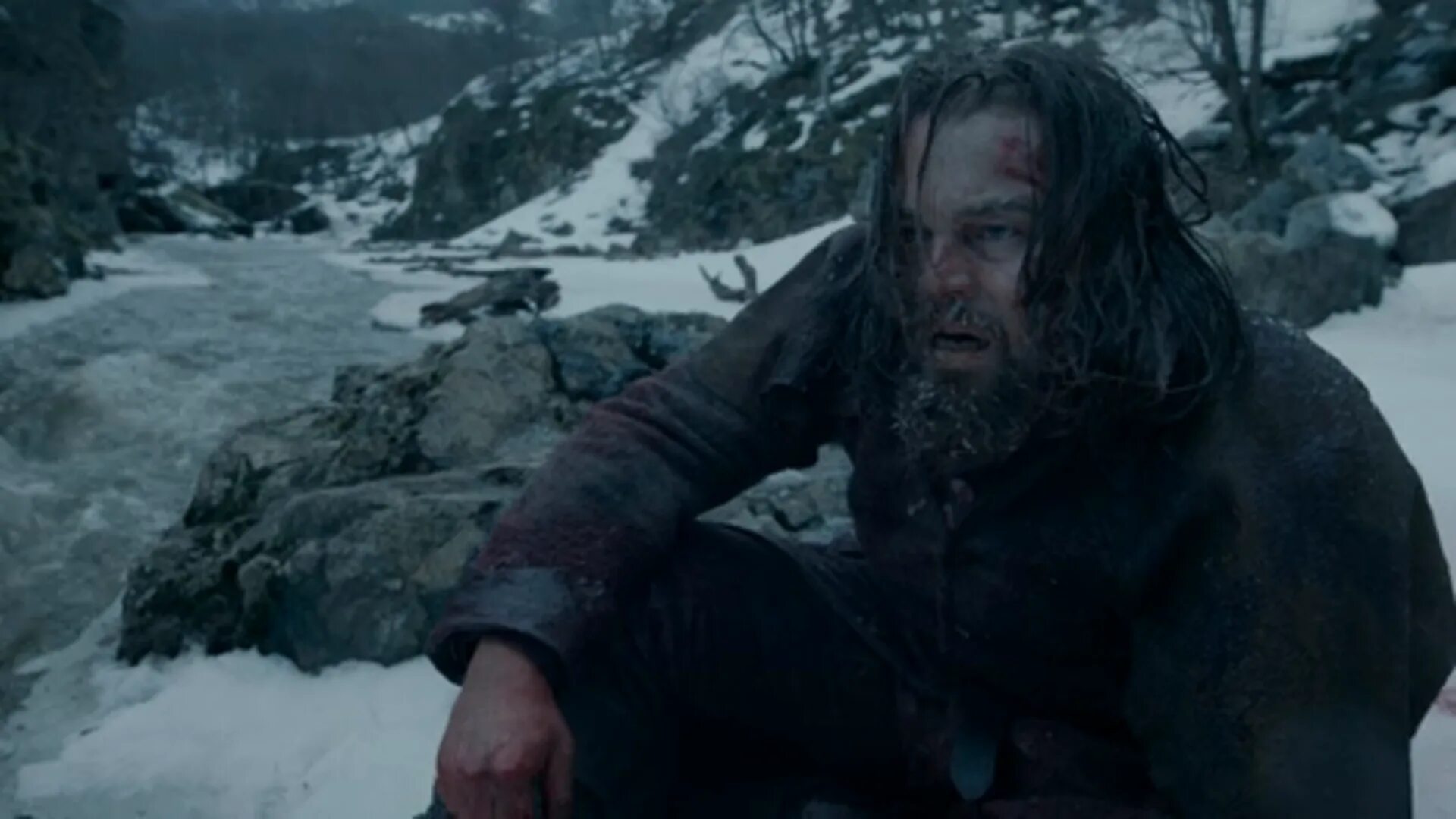 Leonardo DICAPRIO the Revenant. Лео ди Каприо Выживший. Леонардо ди Каприо «Выживший» кадры.