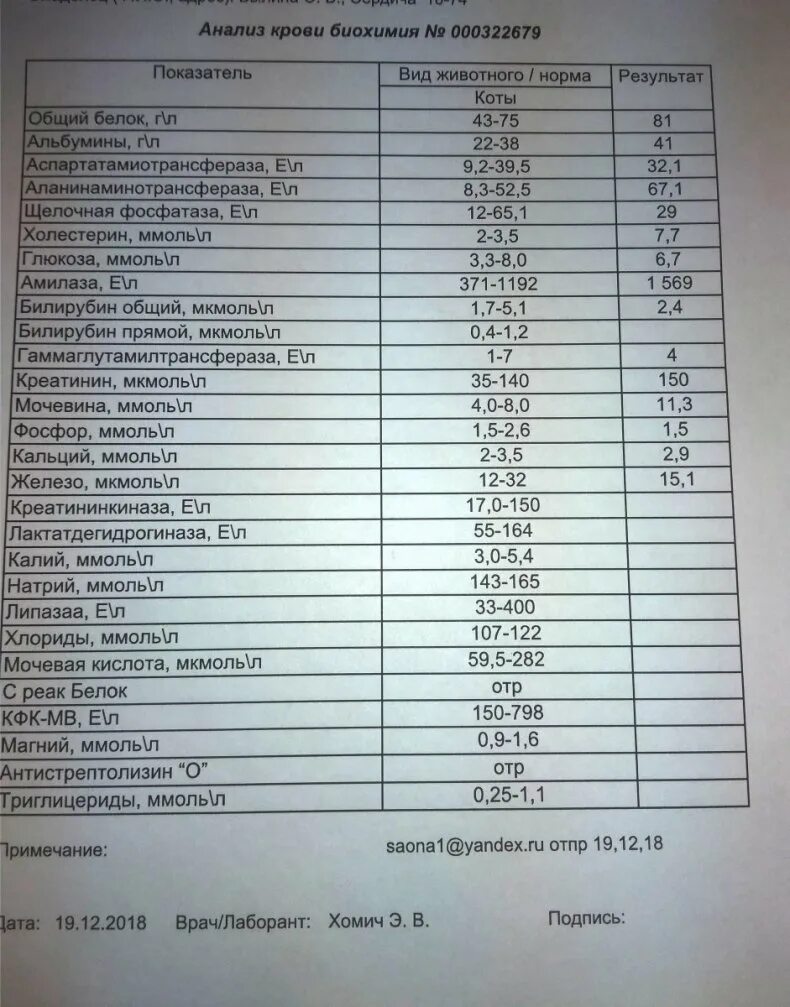 Е в биохимии